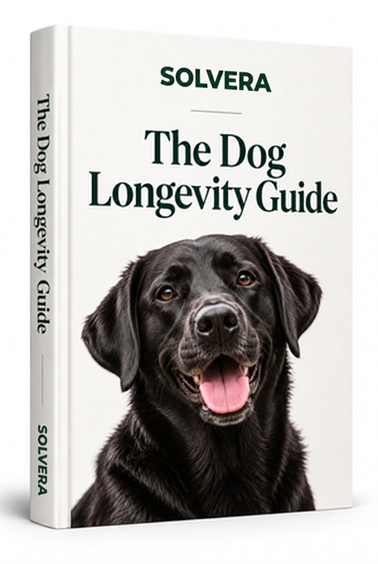 The Dog Longevity Guide